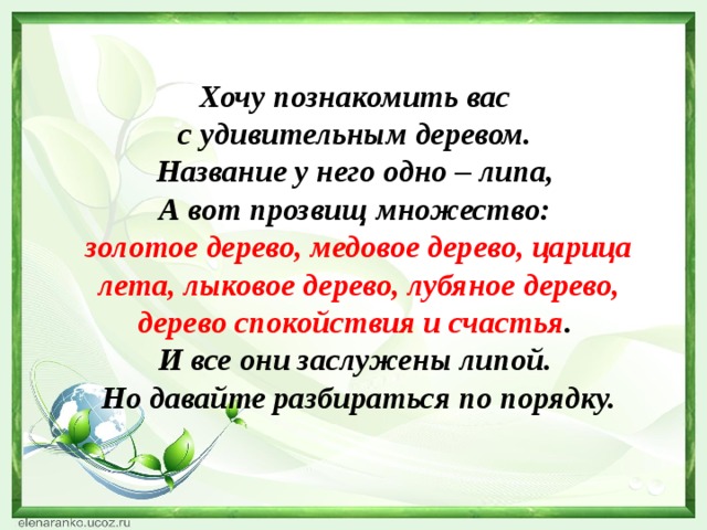Хочу познакомить вас с удивительным деревом. Название у него одно – липа, А вот прозвищ множество: золотое дерево, медовое дерево, царица лета, лыковое дерево, лубяное дерево, дерево спокойствия и счастья . И все они заслужены липой. Но давайте разбираться по порядку. 