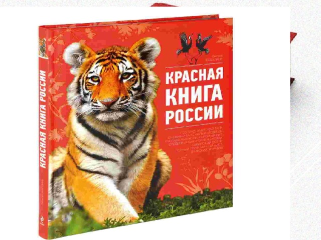 Картина красной книги