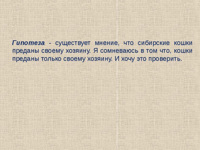 Гипотеза - существует мнение, что сибирские кошки преданы своему хозяину. Я сомневаюсь в том что, кошки преданы только своему хозяину. И хочу это проверить. 