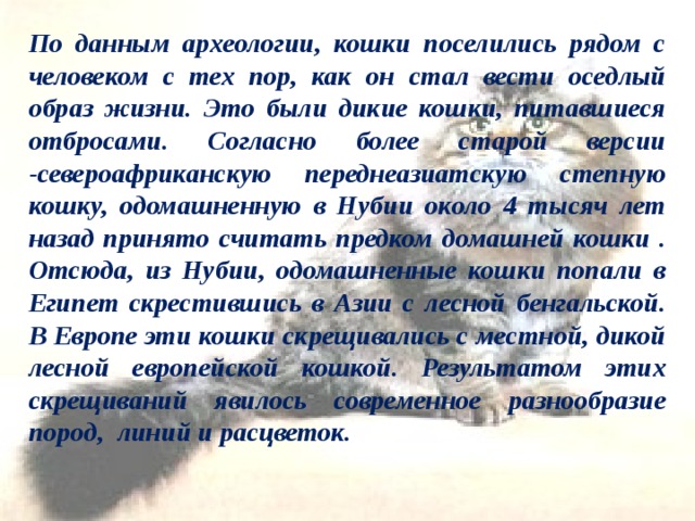 По данным археологии, кошки поселились рядом с человеком с тех пор, как он стал вести оседлый образ жизни. Это были дикие кошки, питавшиеся отбросами. Согласно более старой версии -североафриканскую переднеазиатскую степную кошку, одомашненную в Нубии около 4 тысяч лет назад принято считать предком домашней кошки . Отсюда, из Нубии, одомашненные кошки попали в Египет скрестившись в Азии с лесной бенгальской. В Европе эти кошки скрещивались с местной, дикой лесной европейской кошкой. Результатом этих скрещиваний явилось современное разнообразие пород, линий и расцветок. 