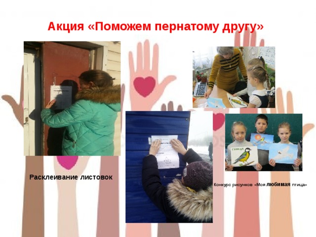  Акция «Поможем пернатому другу» Расклеивание листовок Конкурс рисунков «Моя любимая  птица» 