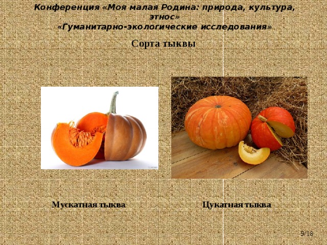 Тыква презентация 6 класс