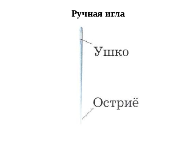 Ручная игла Ручная игла имеет один конец острый, а другой утолщенный. На утолщенном конце имеется ушко. В него вдевают нитку для работы. Острым концом иглы – остриём – прокалывают ткань.  