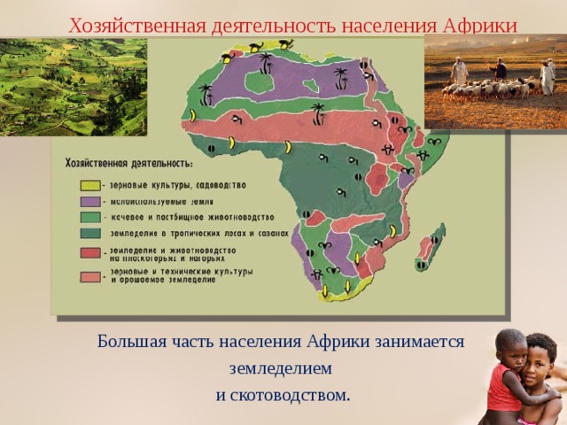 Хозяйственная деятельность населения Африки Большая часть населения Африки занимается земледелием и скотоводством. 