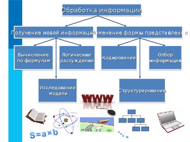 Обработка информации Изменение формы представления Получение новой информации Вычисление по формулам Кодирование Отбор информации Логические рассуждения Структурирование Исследование  модели 