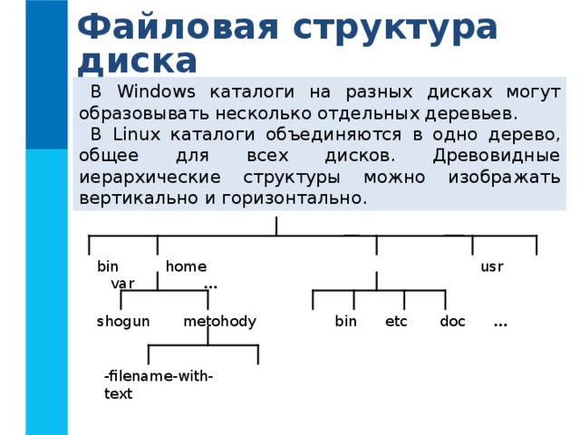 Файловая структура диска В Windows каталоги на разных дисках могут образовывать несколько отдельных деревьев. В Linux каталоги объединяются в одно дерево, общее для всех дисков. Древовидные иерархические структуры можно изображать вертикально и горизонтально. bin home usr var … shogun metohody bin etc doc … -filename-with- text 