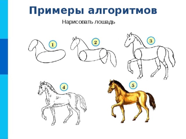 Примеры алгоритмов Нарисовать лошадь 