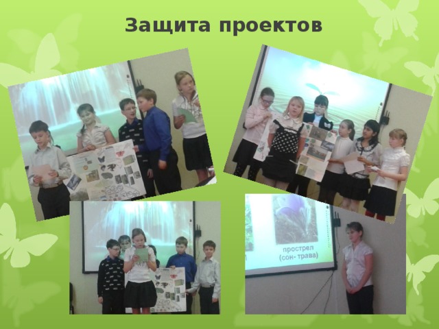 Защита проектов 
