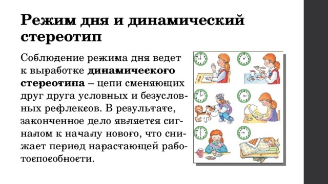 Режим дня и динамический стереотип Со­блю­де­ние ре­жи­ма дня ведет к вы­ра­бот­ке  ди­на­ми­че­ско­го сте­рео­ти­па  – цепи сме­ня­ю­щих друг друга услов­ных и без­услов­ных ре­флек­сов. В ре­зуль­та­те, за­кон­чен­ное дело яв­ля­ет­ся сиг­на­лом к на­ча­лу но­во­го, что сни­жа­ет пе­ри­од на­рас­та­ю­щей ра­бо­то­спо­соб­но­сти. 