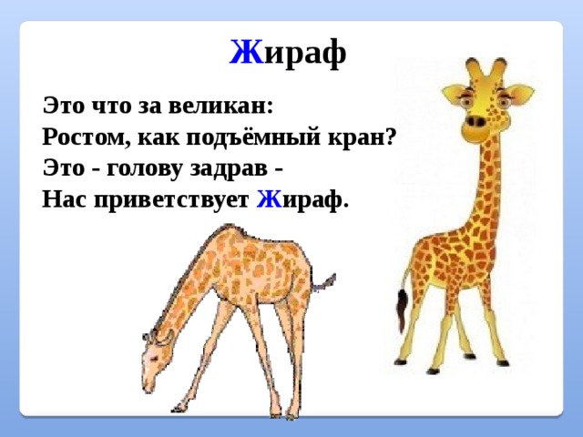 Какими эпитетами сравнениями награжден жираф в стихотворении. Загадка о жирафе. Стих про жирафа. Стихотворение про Жирафов. Стишок про жирафа для малышей.