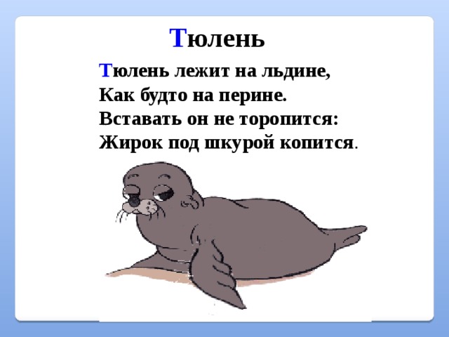 Сколько букв в слове тюлень. Стих про тюленя. Стишок про тюленя для детей. Стишок про тюленя для малышей. Стихи про тюленя для детей короткие.