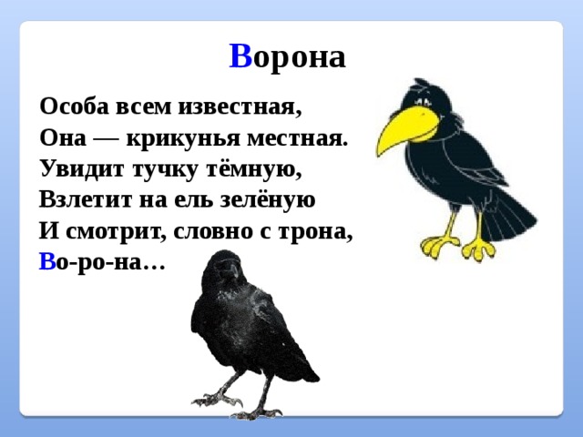 Стих ворона. Особо всем известная она крикунья местная. Стих Азбука ворона. Крикунья. В Степанов увидит тучку.