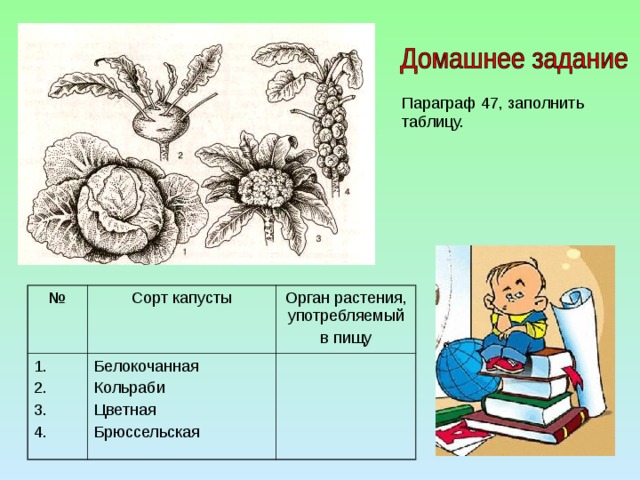 Капустные таблица: найдено 71 картинок