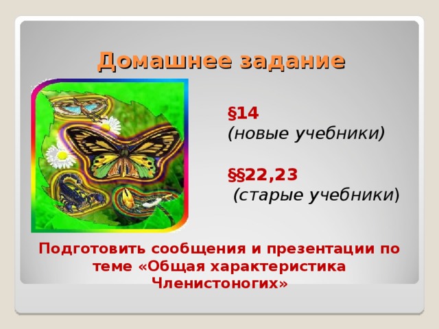 Домашнее задание §14 (новые учебники)  §§22,23  (старые учебники ) Подготовить сообщения и презентации по теме «Общая характеристика Членистоногих» 