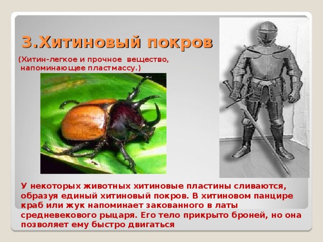 3.Хитиновый покров (Хитин-легкое и прочное вещество,  напоминающее пластмассу.) У некоторых животных хитиновые пластины сливаются, образуя единый хитиновый покров. В хитиновом панцире краб или жук напоминает закованного в латы средневекового рыцаря. Его тело прикрыто броней, но она позволяет ему быстро двигаться 