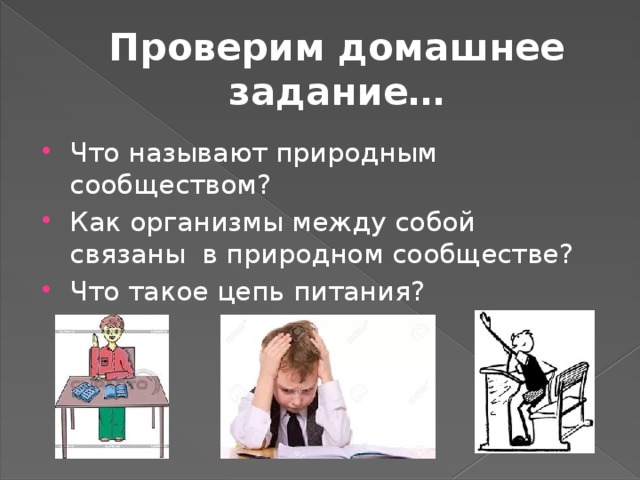 Проверим домашнее задание…