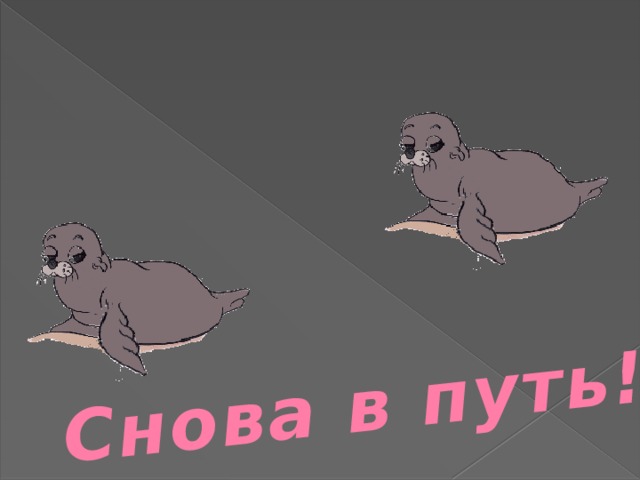 Снова в путь!