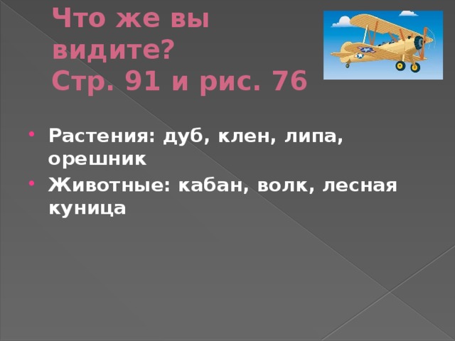 Что же вы видите?  Стр. 91 и рис. 76