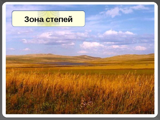 Зона степей