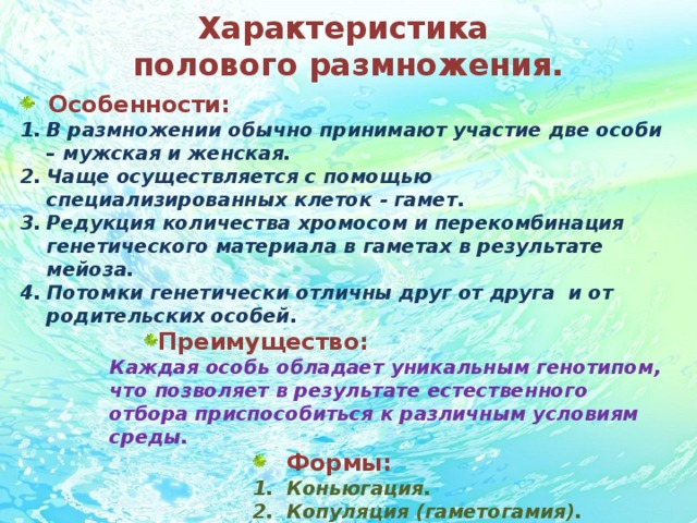 Характеристика  полового размножения. Особенности: В размножении обычно принимают участие две особи – мужская и женская. Чаще осуществляется с помощью специализированных клеток - гамет. Редукция количества хромосом и перекомбинация генетического материала в гаметах в результате мейоза. Потомки генетически отличны друг от друга и от родительских особей. Преимущество: Каждая особь обладает уникальным генотипом, что позволяет в результате естественного отбора приспособиться к различным условиям среды.