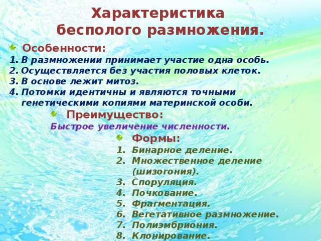 Характеристика  бесполого размножения. Особенности: В размножении принимает участие одна особь. Осуществляется без участия половых клеток. В основе лежит митоз. Потомки идентичны и являются точными генетическими копиями материнской особи. Преимущество: Быстрое увеличение численности.