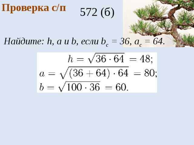 Проверка с/п 572 (б) Найдите: h, а и b, если b с = 36, a с = 64. 