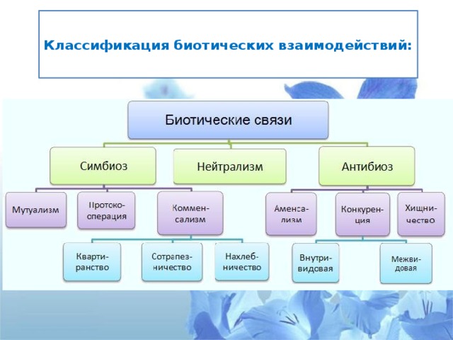 Типы биотических связей схема