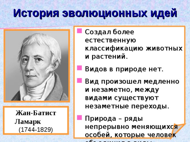 История эволюционных идей Создал более естественную классификацию животных и растений. Видов в природе нет. Вид произошел медленно и незаметно, между видами существуют незаметные переходы. Природа – ряды непрерывно меняющихся особей, которые человек объединил в виды. Жан-Батист Ламарк  (1744-1829) 