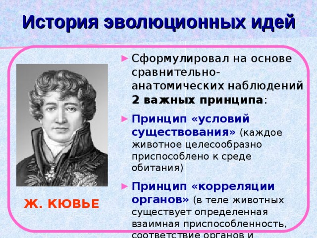 История развития эволюционных идей таблица