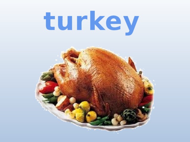   turkey 
