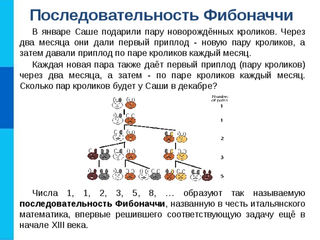 Последовательность Фибоначчи В январе Саше подарили пару новорождённых кроликов. Через два месяца они дали первый приплод - новую пару кроликов, а затем давали приплод по паре кроликов каждый месяц. Каждая новая пара также даёт первый приплод (пару кроликов) через два месяца, а затем - по паре кроликов каждый месяц. Сколько пар кроликов будет у Саши в декабре? Числа 1, 1, 2, 3, 5, 8, … образуют так называемую последовательность Фибоначчи , названную в честь итальянского математика, впервые решившего соответствующую задачу ещё в начале XIII века. 