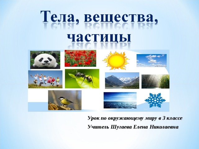 Урок по окружающему миру в 3 классе Учитель Шугаева Елена Николаевна 