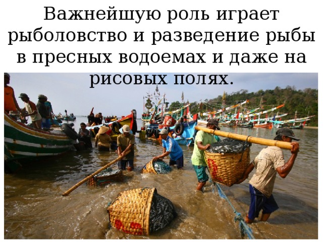 Важнейшую роль играет рыболовство и разведение рыбы в пресных водоемах и даже на рисовых полях. 