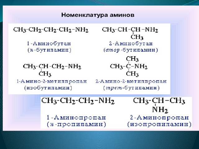 Химия 10 класс амины анилин презентация