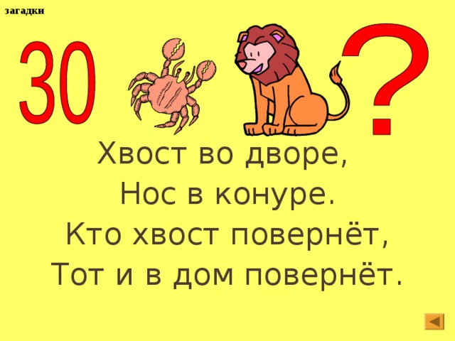 загадки Хвост во дворе, Нос в конуре. Кто хвост повернёт, Тот и в дом повернёт.