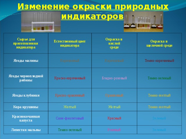 Изменение окраски природных индикаторов  Сырье для приготовления индикатора Естественный цвет индикатора Ягоды малины Коричневый Ягоды черноплодной рябины Окраска в кислой среде Окраска в щелочной среде Коричневый Красно-коричневый Ягоды клубники Темно-коричневый Красно-оранжевый Бледно-розовый Кора крушины Краснокочанная капуста Желтый Темно-зеленый Оранжевый Сине-фиолетовый Темно-желтый Желтый Лепестки мальвы Темно-желтый Красный Темно-зеленый Зеленый Розовый Зеленый 