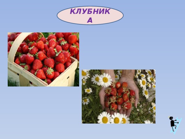 КЛУБНИКА 