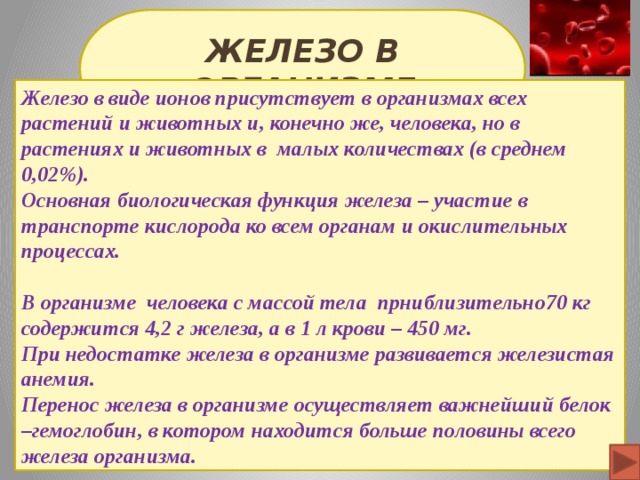 Железо в организме человека проект