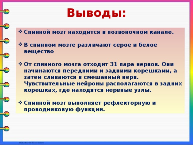 Расскажите о спинном мозге используя следующий план форма длина масса расположение