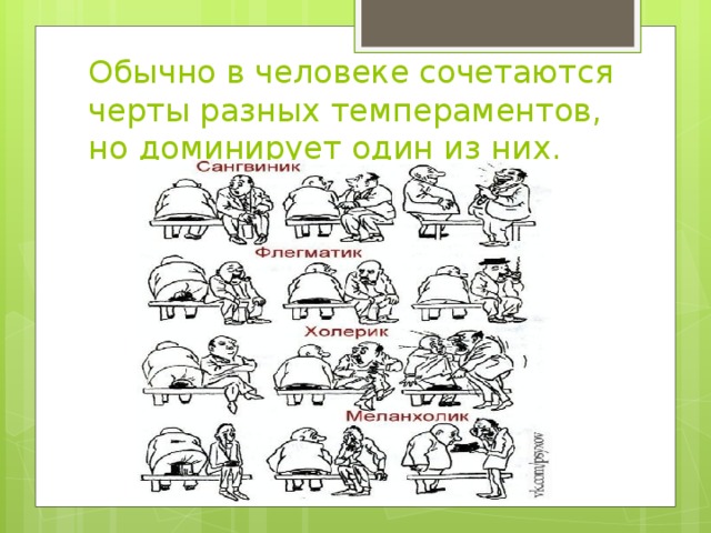 Обычно в человеке сочетаются черты разных темпераментов, но доминирует один из них. 