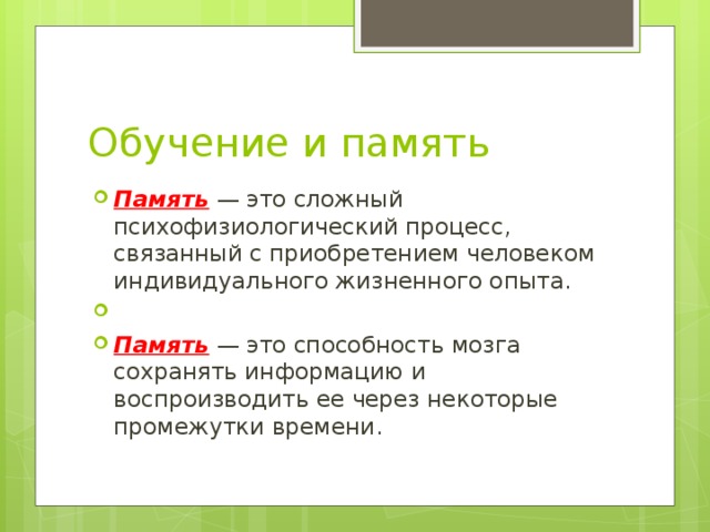 Обучение и память Память — это сложный психофизиологический процесс, связанный с приобретением человеком индивидуального жизненного опыта. Память — это способность мозга сохранять информацию и воспроизводить ее через некоторые промежутки времени. 