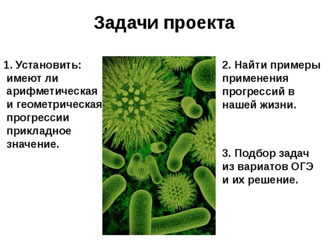 Проект на тему арифметическая и геометрическая прогрессия в нашей жизни