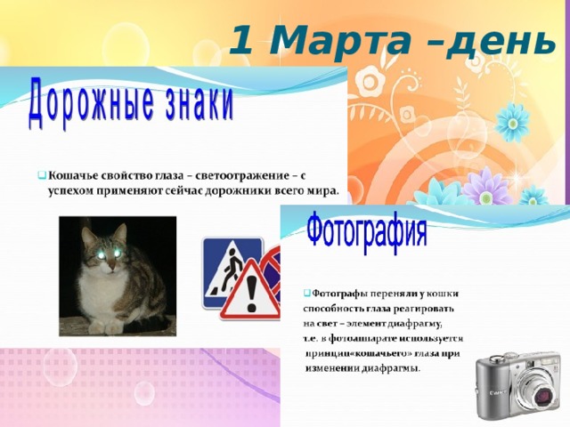  1 Марта –день кошек 