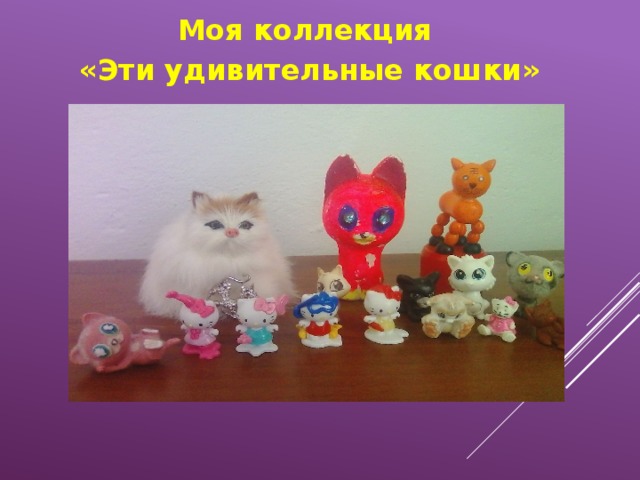 Моя коллекция «Эти удивительные кошки» 