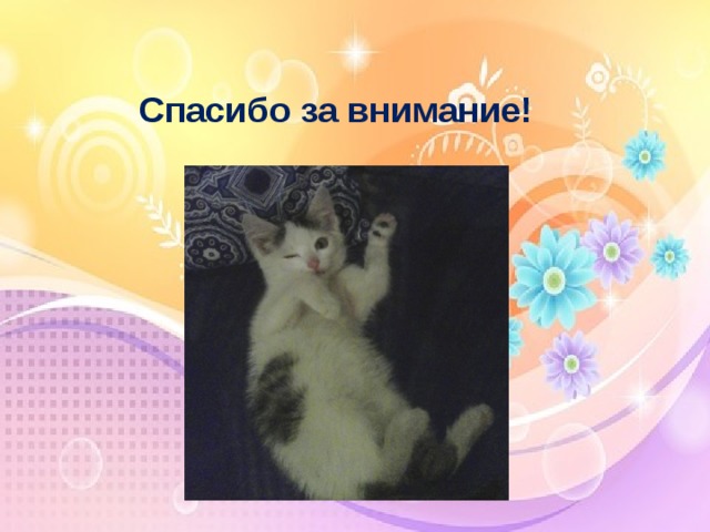   Спасибо за внимание! 