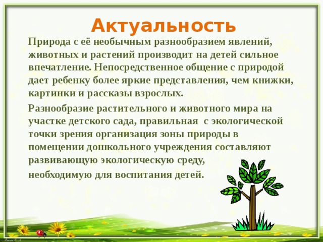 Презентация по озеленению