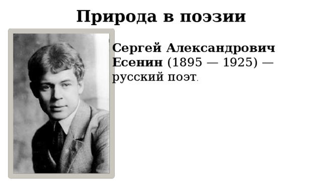 Природа в поэзии Сергей Александрович Есенин (1895 — 1925) — русский поэт . 