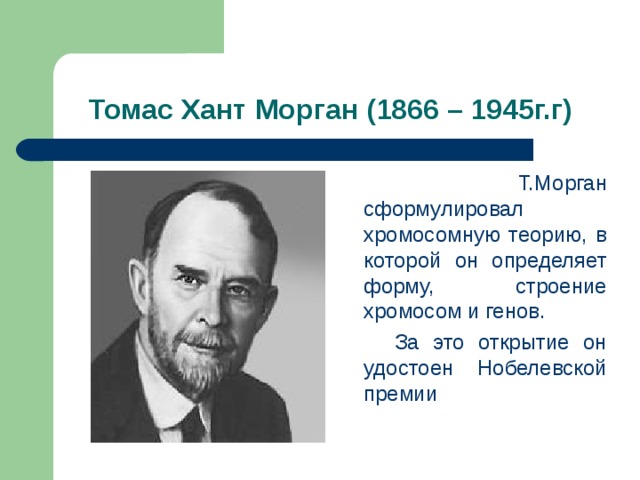 Томас Хант Морган (1866 – 1945г.г)  Т.Морган сформулировал хромосомную теорию, в которой он определяет форму, строение хромосом и генов.  За это открытие он удостоен Нобелевской премии 