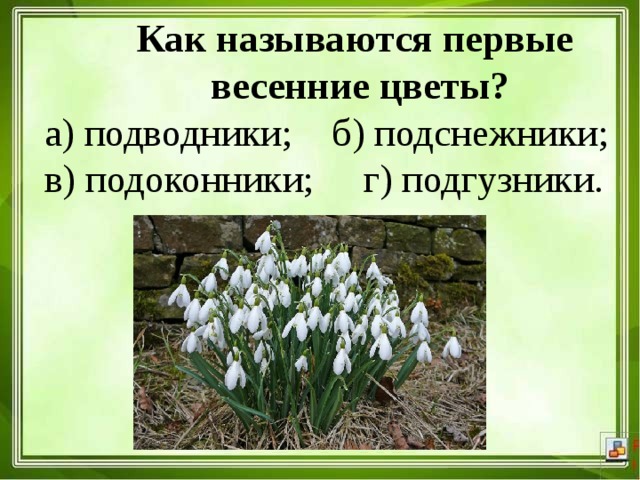 Как называются первые  весенние цветы? а) подводники; б) подснежники; в) подоконники; г) подгузники. 