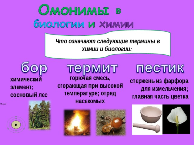 Что означают следующие термины в химии и биологии: горючая смесь, сгорающая при высокой температуре; отряд насекомых химический элемент; сосновый лес стержень из фарфора для измельчения; главная часть цветка